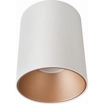 Eye Tone White/Gold Tuba Nowodvorski 8926