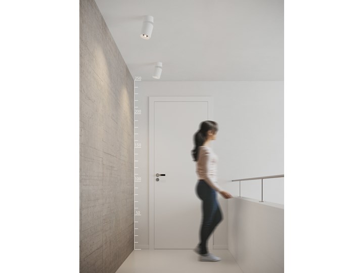 SIENA 10W Oprawa led Oprawa stropowa Kategoria Oprawy oświetleniowe Okrągłe Kolor Szary