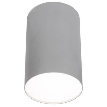 Lampa sufitowa/spot POINT PLEXI SILVER L śr.13cm