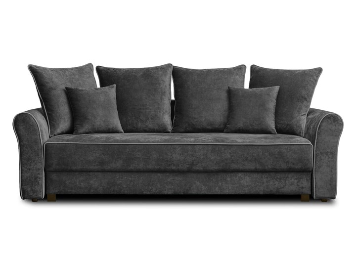 Sofa NEW YORK z funkcją spania Typ Gładkie Stała konstrukcja Styl Klasyczny