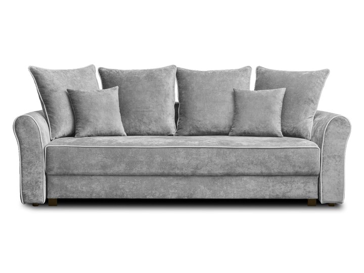 Sofa NEW YORK z funkcją spania Stała konstrukcja Typ Gładkie
