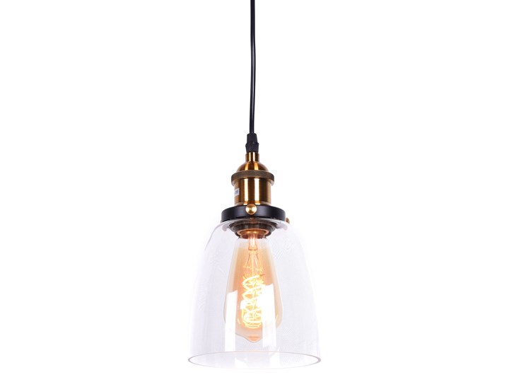 LAMPA WISZĄCA ZWIS FABI W1 Lampa z kloszem Mosiądz Kolor Srebrny Lampa przemysłowa Metal Szkło Lampa z abażurem Pomieszczenie Salon