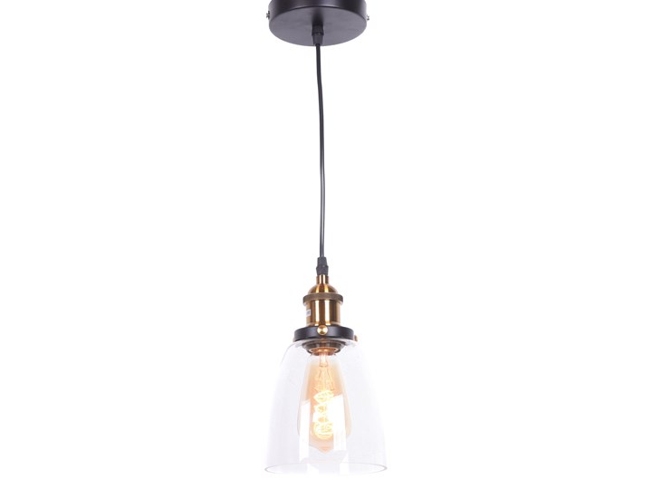 LAMPA WISZĄCA ZWIS FABI W1 Szkło Lampa z abażurem Metal Styl Industrialny Mosiądz Lampa przemysłowa Lampa z kloszem Kolor Srebrny