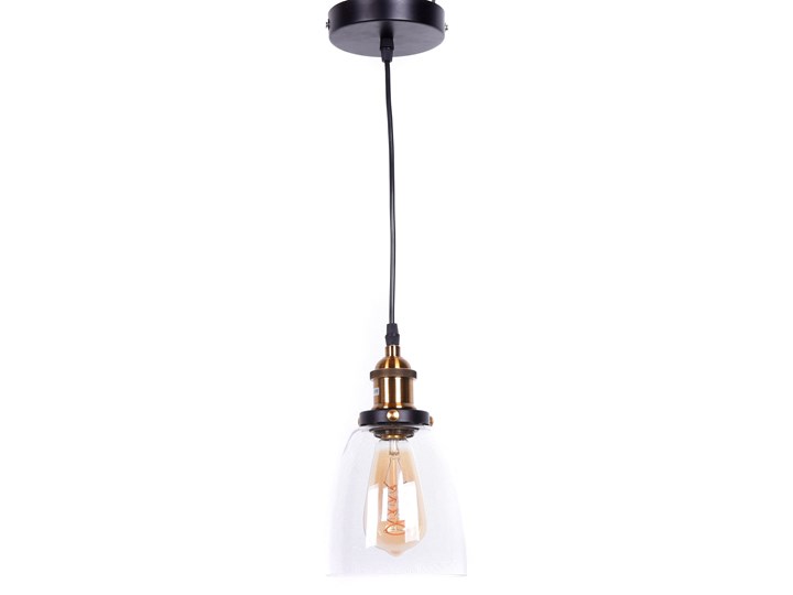 LAMPA WISZĄCA ZWIS FABI W1 Metal Mosiądz Lampa przemysłowa Lampa z kloszem Lampa z abażurem Szkło Kolor Srebrny