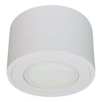 LM P 220 WH PLAFON NOWOCZESNA LAMPA SUFITOWA OPRAWA NATYNKOWA 16 CM ALUMINIUM BIAŁY ES111 LED HERMETYCZNA