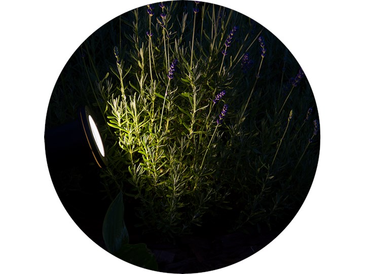 Reflektor ogrodowy wbijany do ziemi lampka do LED HORTUS GU10 IP65 czarny EDO777112 Garden Line EDO Lampa LED Kategoria Lampy ogrodowe