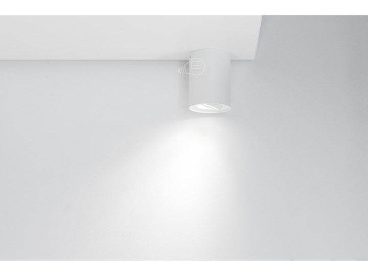 Punktowa oprawa sufitowa natynkowa do LED SKAND 1 White GU10 IP20 okrągła biała EDO777101 EDO Okrągłe Oprawa led Oprawa stropowa Kolor Biały