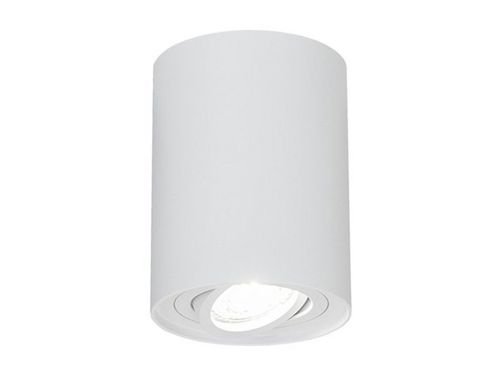 Punktowa oprawa sufitowa natynkowa do LED SKAND 1 White GU10 IP20 okrągła biała EDO777101 EDO Oprawa stropowa Oprawa led Kolor Biały Okrągłe Kategoria Oprawy oświetleniowe