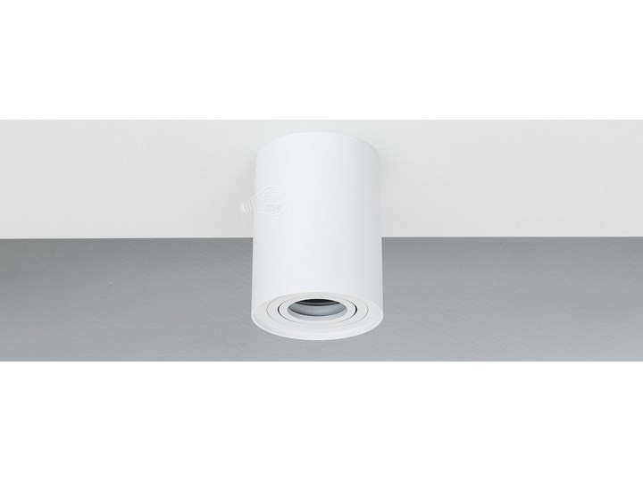 Punktowa oprawa sufitowa natynkowa do LED SKAND 1 White GU10 IP20 okrągła biała EDO777101 EDO Okrągłe Oprawa led Oprawa stropowa Kolor Biały