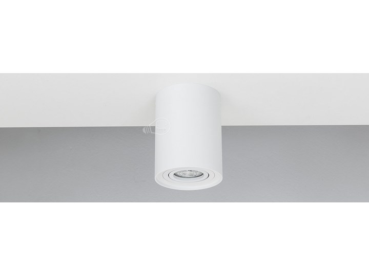 Punktowa oprawa sufitowa natynkowa do LED SKAND 1 White GU10 IP20 okrągła biała EDO777101 EDO Okrągłe Kolor Biały Oprawa stropowa Oprawa led Kategoria Oprawy oświetleniowe