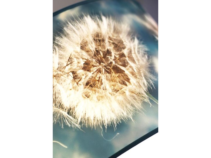 Lampa wisząca młodzieżowa E917-Dandeliox Lampa z abażurem Tworzywo sztuczne Kategoria Lampy wiszące Kolor Turkusowy