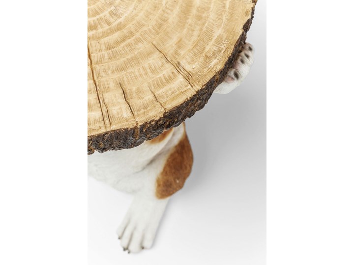 Stolik kawowy Animal Mr. Jack 35x33 cm kolorowy Rozmiar blatu 33x35 cm