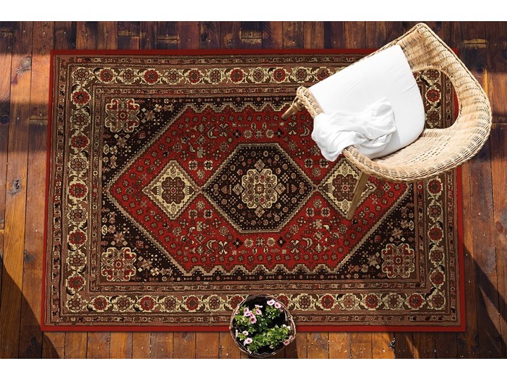 Dywan na taras do ogrodu na balkon Klasyczny wzór Prostokątny Winyl Dywany 80x120 cm 60x90 cm Pomieszczenie Przedpokój