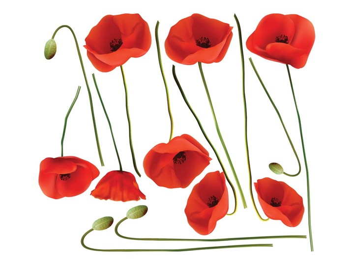 Komplet naklejek ściennych Ambiance Vermeil Poppies, 60x70 cm