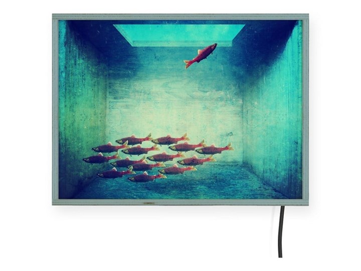 Świecąca dekoracja ścienna Surdic Free Fish, 40x30 cm Kolor Turkusowy Kategoria Dekor ścienny