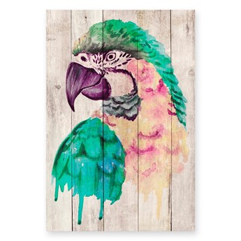 Dekoracja ścienna z drewna sosnowego Madre Selva Watercolor Parrot, 60x40 cm