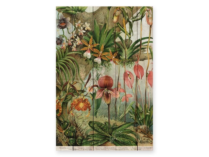 Dekoracja ścienna z drewna sosnowego Madre Selva Jungle Flowers, 60x40 cm Pomieszczenie Pokój nastolatka