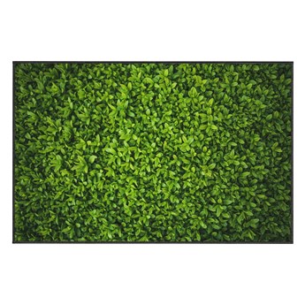 Zielony dywan Oyo home Ivy, 140x220 cm