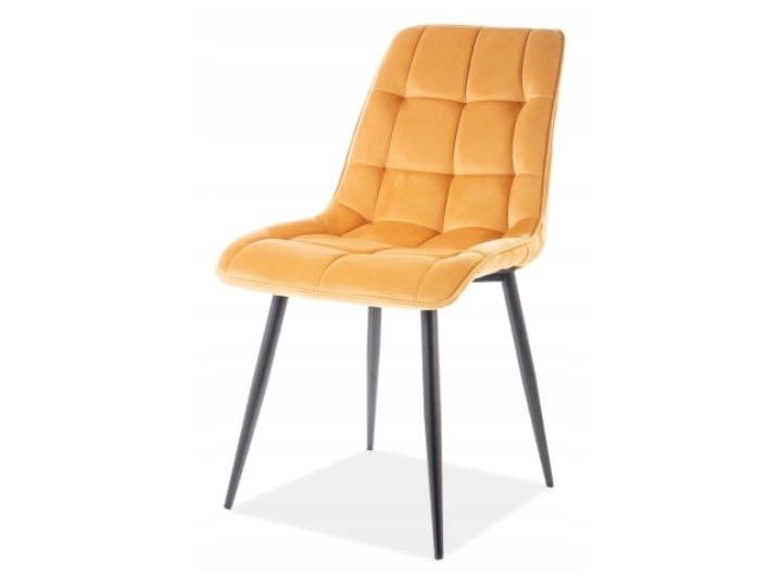 Krzesło CHIC VELVET Curry Signal Styl Nowoczesny Tapicerowane Pikowane Tkanina Z podłokietnikiem Głębokość 58 cm Welur Wysokość 88 cm Stal Szerokość 50 cm Metal Pomieszczenie Jadalnia