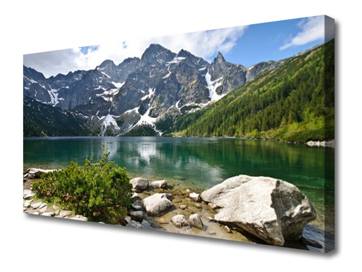 Obraz Canvas Jezioro Góry Krajobraz Kolor Zielony Wzór Dla dzieci