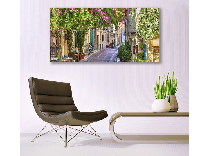 Obraz Canvas Alejka Kwiaty Domy Roślina Wymiary 50x125 cm Wymiary 50x100 cm