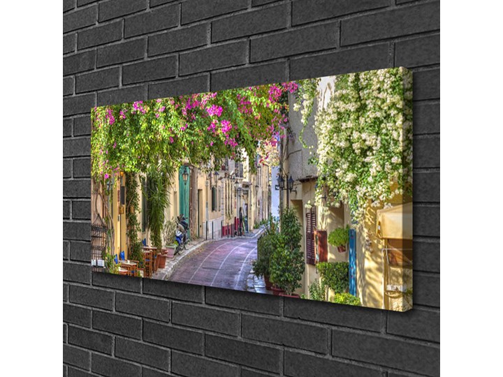 Obraz Canvas Alejka Kwiaty Domy Roślina Kategoria Obrazy Wymiary 50x100 cm