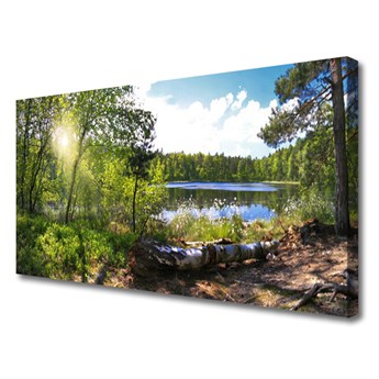 Obraz Canvas Las Drzewa Jezioro Przyroda