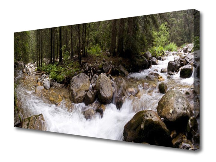 Obraz Canvas Las Rzeka Wodospady Wymiary 60x120 cm