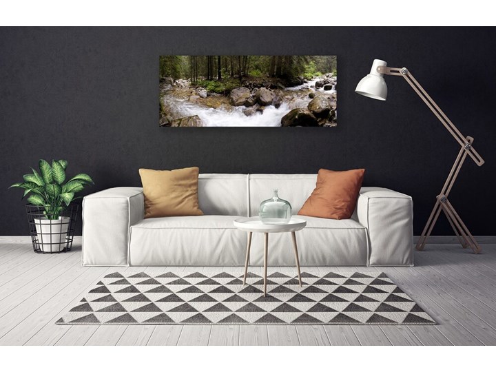 Obraz Canvas Las Rzeka Wodospady Pomieszczenie Salon