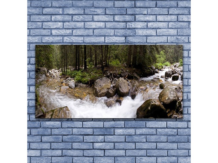 Obraz Canvas Las Rzeka Wodospady Wymiary 60x120 cm