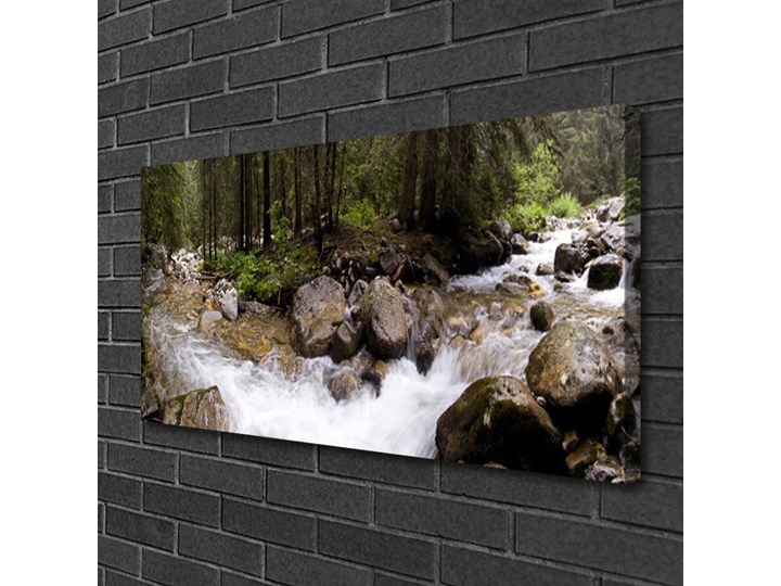 Obraz Canvas Las Rzeka Wodospady Wymiary 60x120 cm Pomieszczenie Biuro i pracownia