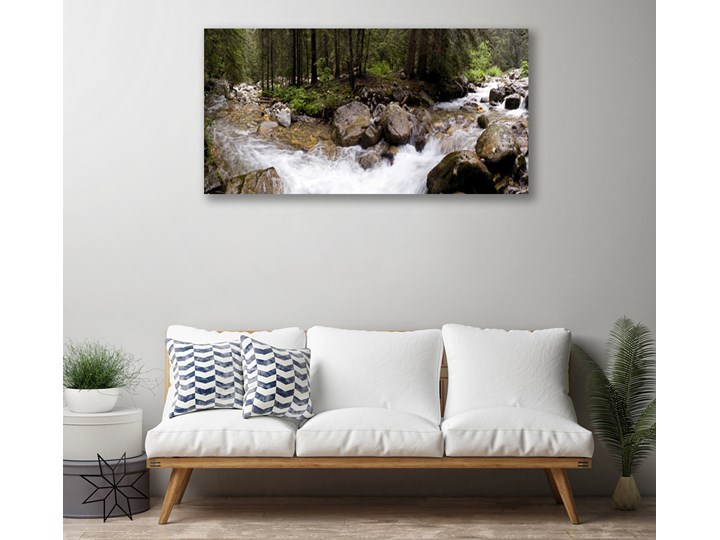 Obraz Canvas Las Rzeka Wodospady Pomieszczenie Sypialnia
