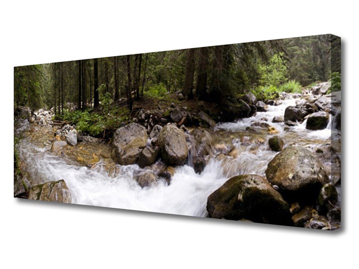 Obraz Canvas Las Rzeka Wodospady Pomieszczenie Biuro i pracownia Wymiary 50x100 cm