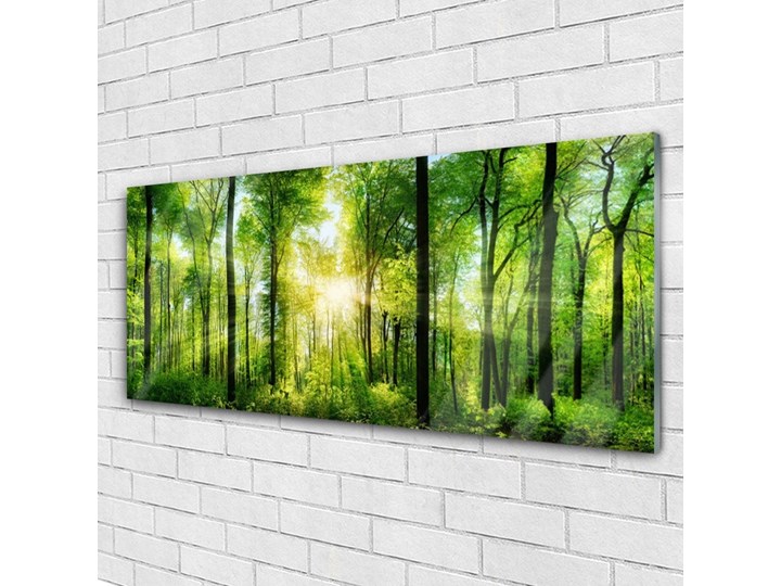 Obraz na Szkle Las Natura Drzewa Wymiary 60x120 cm Wymiary 50x125 cm