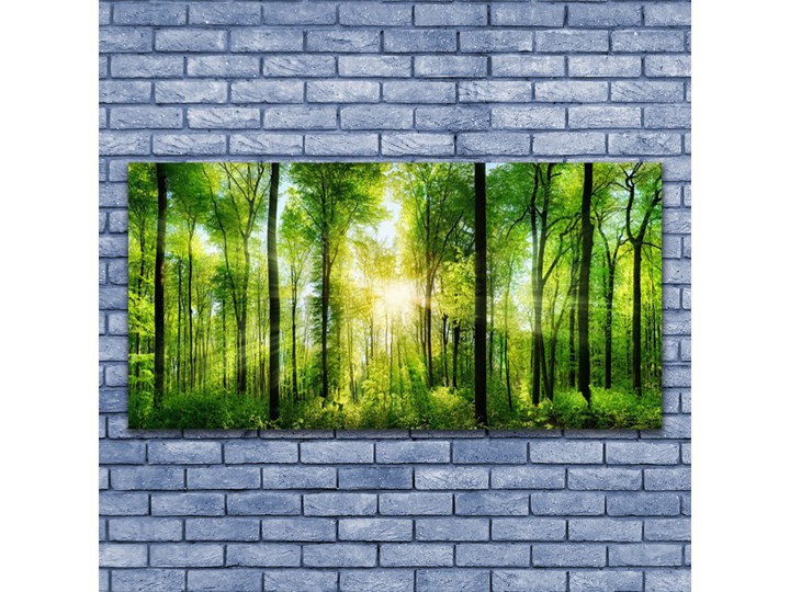 Obraz na Szkle Las Natura Drzewa Wymiary 50x125 cm Wymiary 50x100 cm