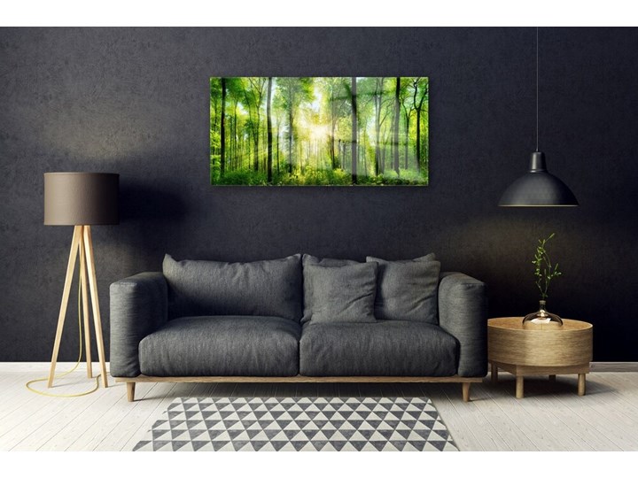 Obraz na Szkle Las Natura Drzewa Wymiary 60x120 cm