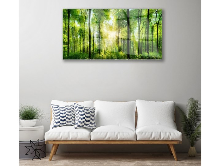 Obraz na Szkle Las Natura Drzewa Wymiary 50x125 cm Pomieszczenie Biuro i pracownia