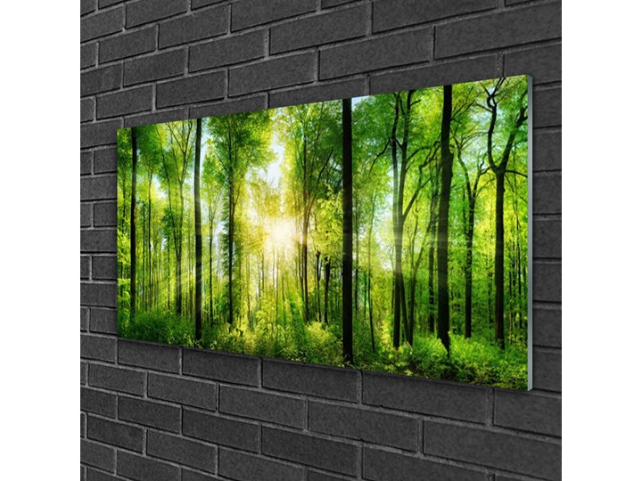 Obraz na Szkle Las Natura Drzewa Wymiary 60x120 cm Wymiary 50x125 cm