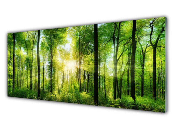 Obraz na Szkle Las Natura Drzewa Wymiary 70x140 cm Pomieszczenie Biuro i pracownia