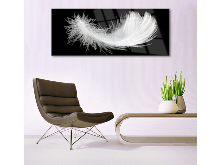 Obraz na Szkle Piórko Sztuka Wymiary 60x120 cm