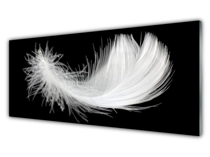 Obraz na Szkle Piórko Sztuka Wymiary 50x125 cm