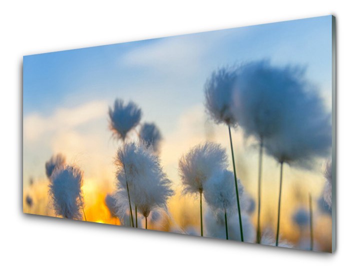 Obraz Szklany Kwiaty Roślina Natura Pomieszczenie Salon Wymiary 50x100 cm