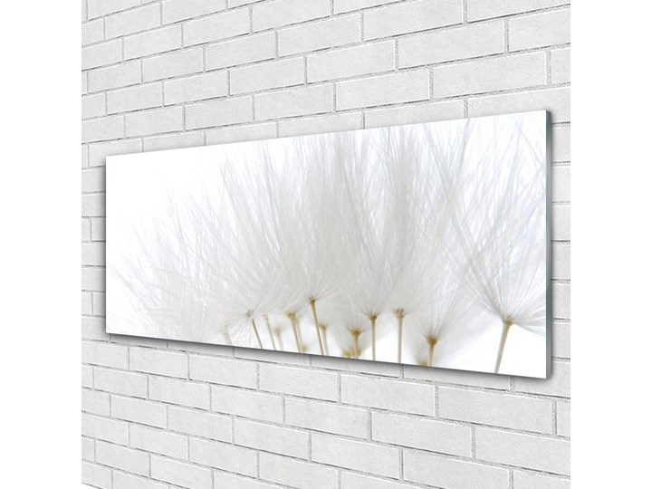 Obraz Akrylowy Kwiaty Na Ścianę Kategoria Obrazy