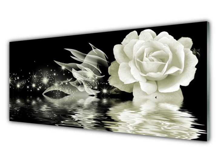 Obraz Akrylowy Róża Kwiat Roślina Kategoria Obrazy Kolor Czarny