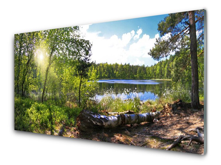 Obraz Akrylowy Las Drzewa Jezioro Przyroda Wykonanie Wydruk cyfrowy