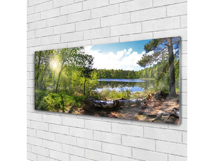 Obraz Akrylowy Las Drzewa Jezioro Przyroda Wymiary 50x125 cm Wzór Natura