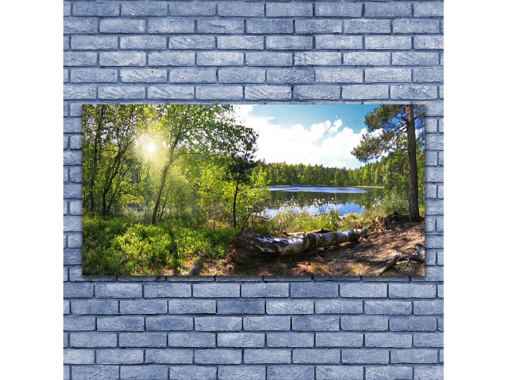 Obraz Akrylowy Las Drzewa Jezioro Przyroda Kategoria Obrazy