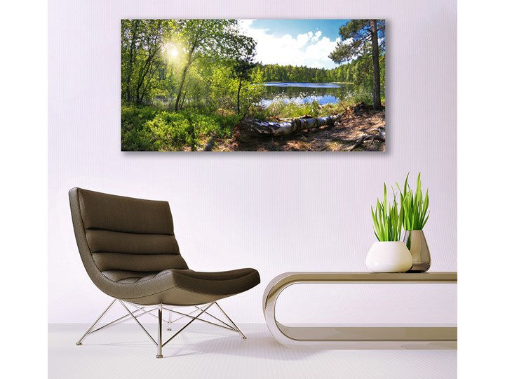 Obraz Akrylowy Las Drzewa Jezioro Przyroda Wymiary 50x125 cm
