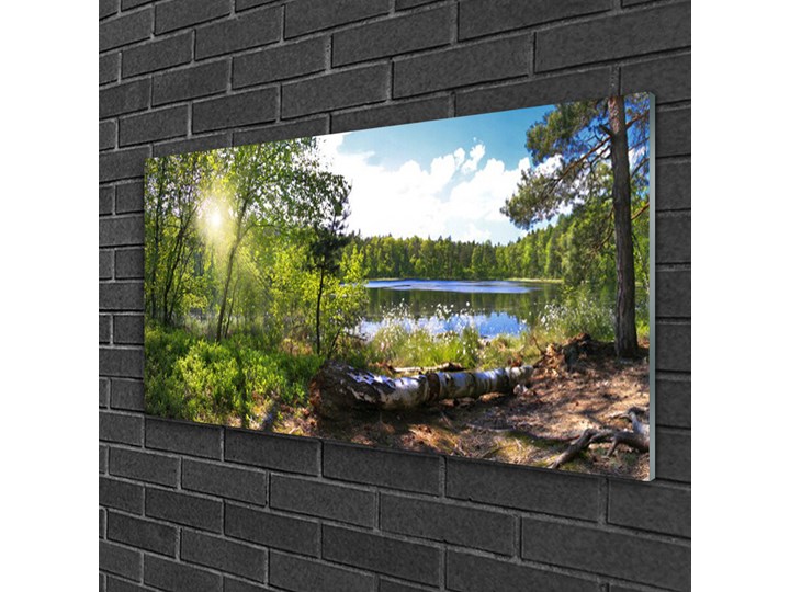 Obraz Akrylowy Las Drzewa Jezioro Przyroda Wymiary 50x125 cm Wymiary 60x120 cm