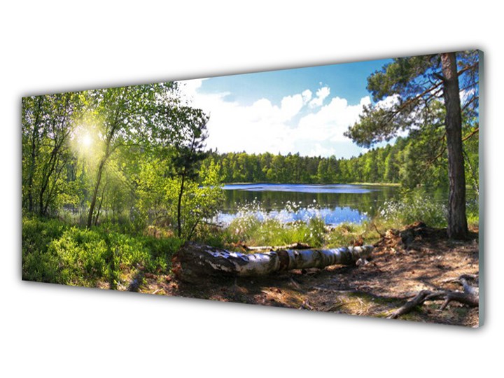 Obraz Akrylowy Las Drzewa Jezioro Przyroda Wymiary 70x140 cm